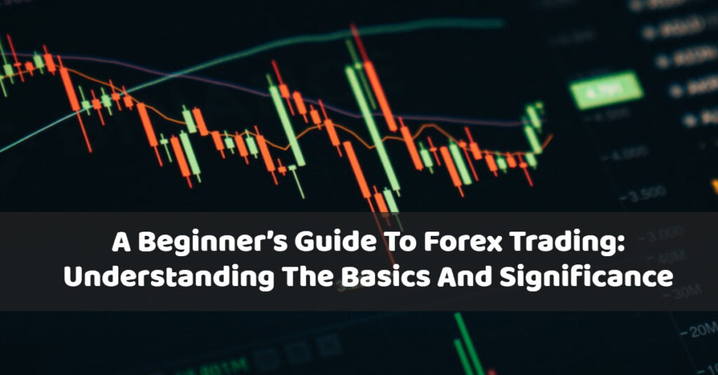 Beginner Guide to Forex Trading